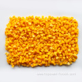 Low price Best-Selling freeze dried pumpkin